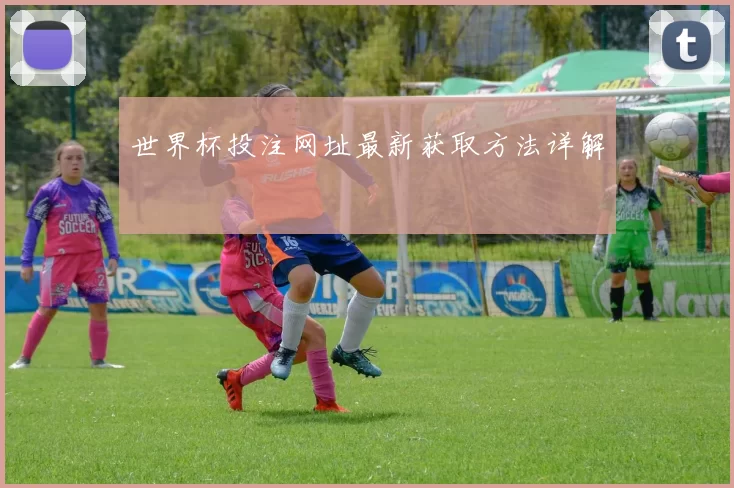 世界杯投注网址最新获取方法详解