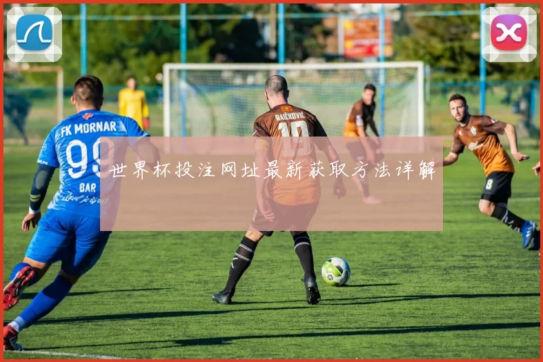 世界杯投注网址最新获取方法详解