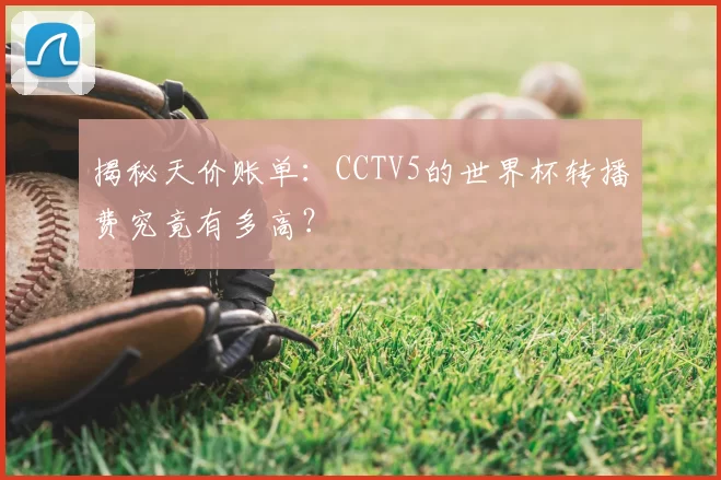 揭秘天价账单：CCTV5的世界杯转播费究竟有多高？
