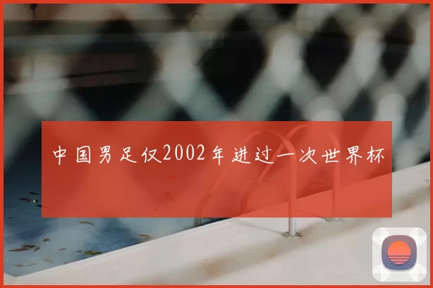 中国男足仅2002年进过一次世界杯