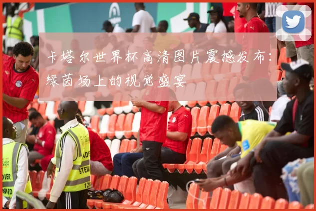 卡塔尔世界杯高清图片震撼发布：绿茵场上的视觉盛宴
