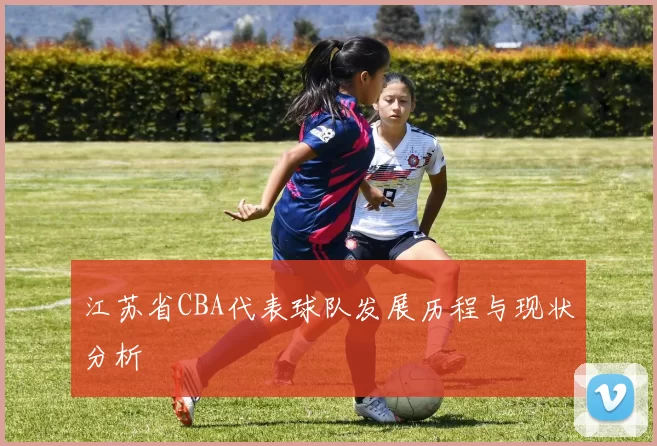 江苏省CBA代表球队发展历程与现状分析